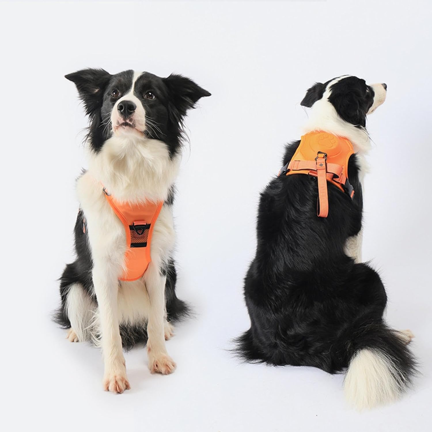 Adjustable No Pull Dog Harness - Tails on Trails