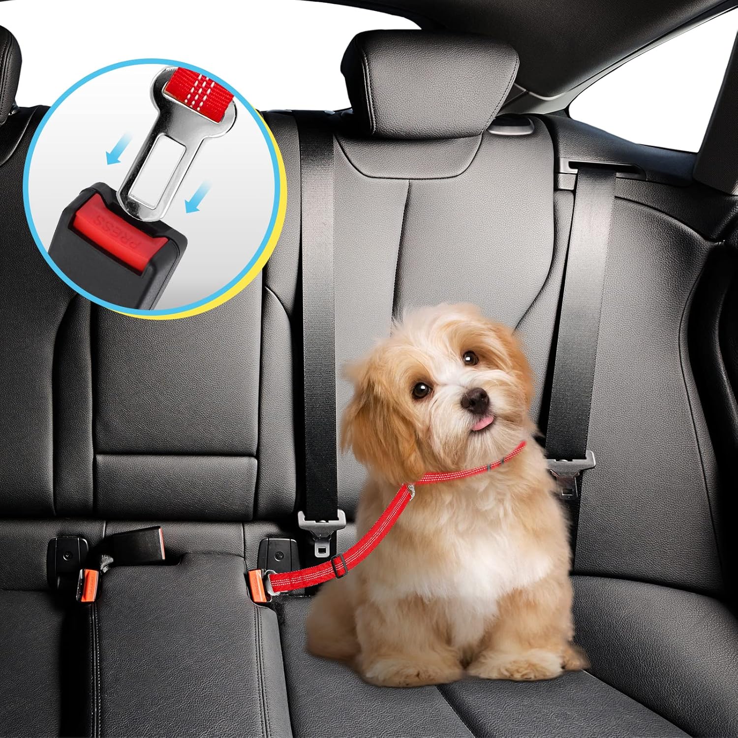 Pet Car Safety Belt - Tails on Trails
