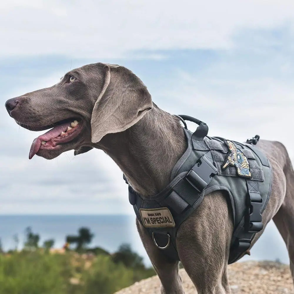 Tactical Dog Harness – Heavy-Duty, No-Pull, Adjustable Fit with Control Handle - Tails on Trails