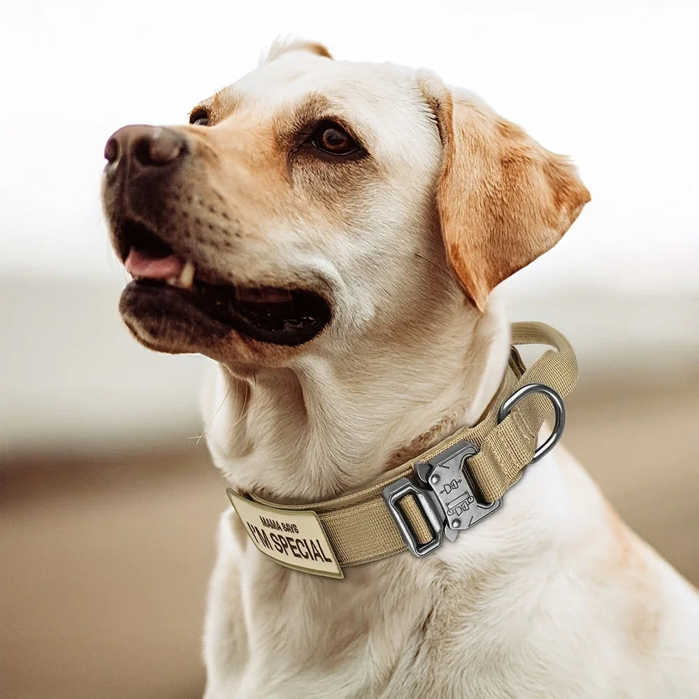 💪 Tails on Trails™ Tactical Training Dog Collar – Secure. Strong. Smart. 🐾 - Tails on Trails
