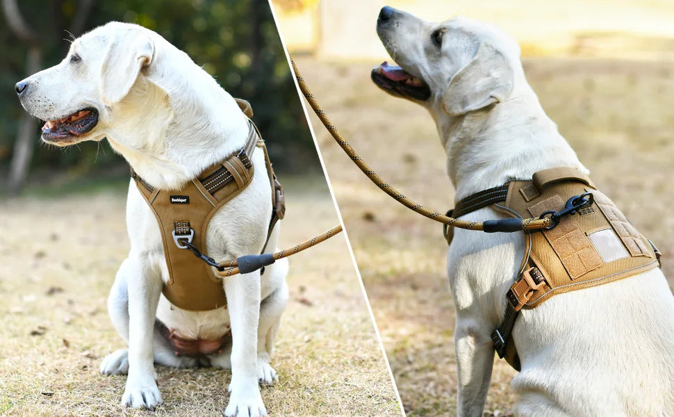 durable tactical dog harness for hiking