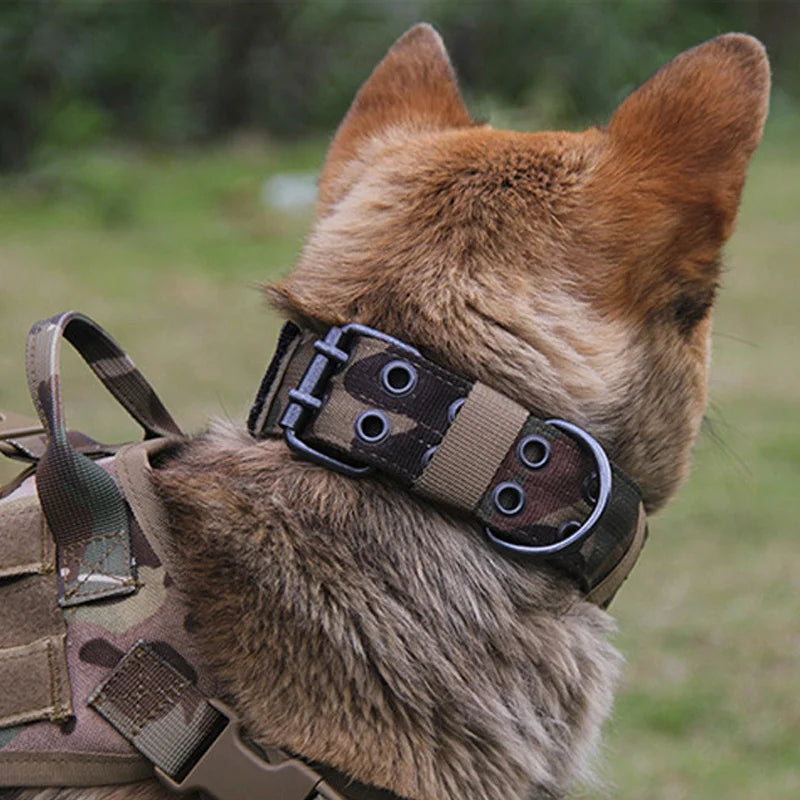 Rugged Tactical Dog Collar-Heavy Duty, Military Grade - Tails on Trails