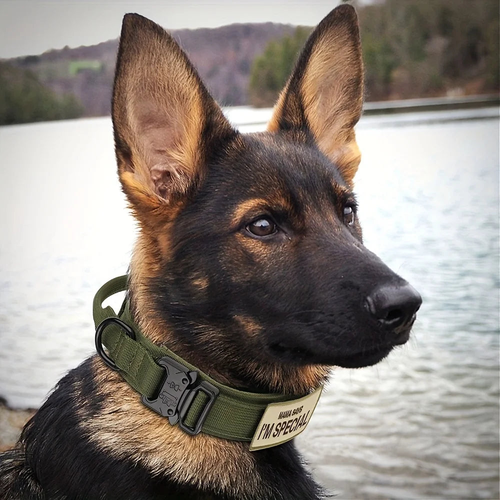 💪 Tails on Trails™ Tactical Training Dog Collar – Secure. Strong. Smart. 🐾 - Tails on Trails
