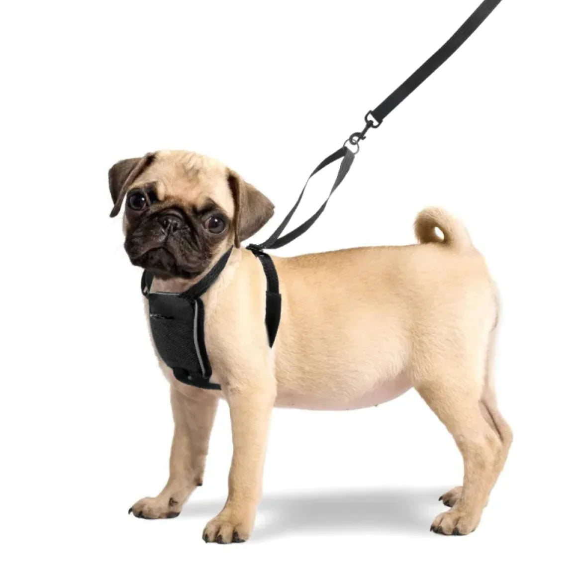 Tails on Trails Reflective No-Pull Dog Harness – Rugged Control & Visibility