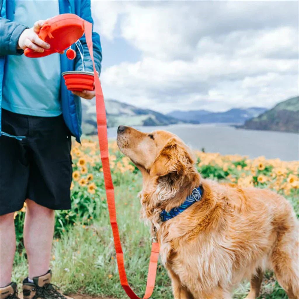 Multi - functional Dog Leash - Tails on Trails