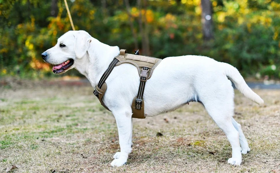 TrailPack™ Adventure Harness - Heavy Duty Tactical Dog Harness - Tails on Trails