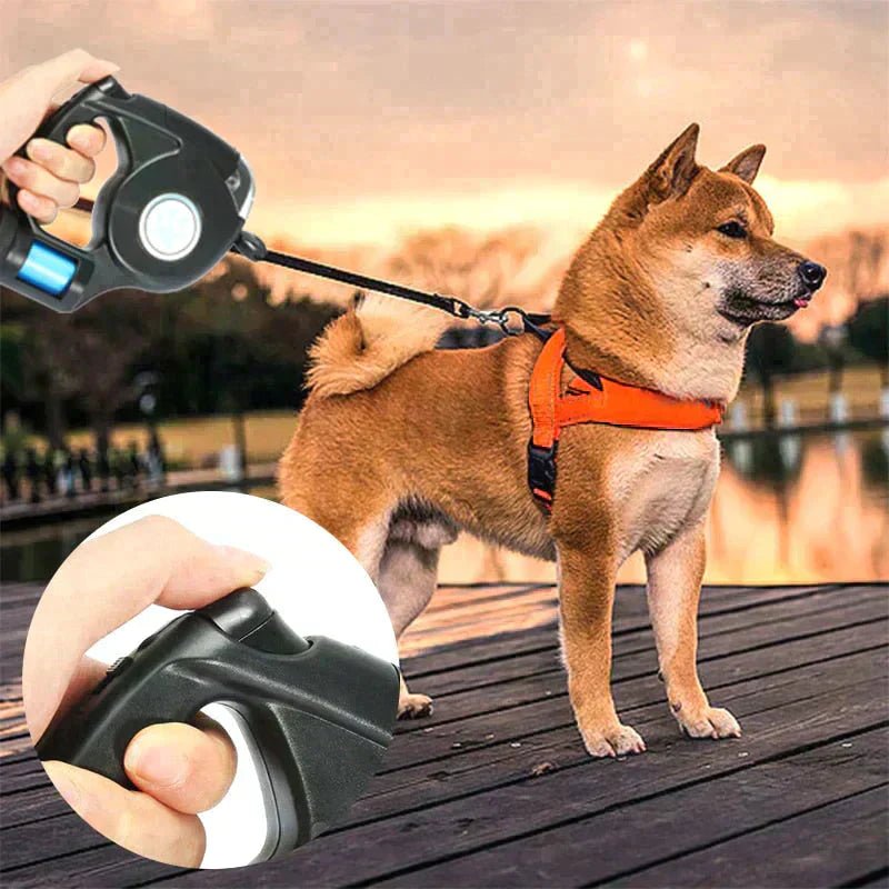 3 in 1 Dog Leash - Tails on Trails