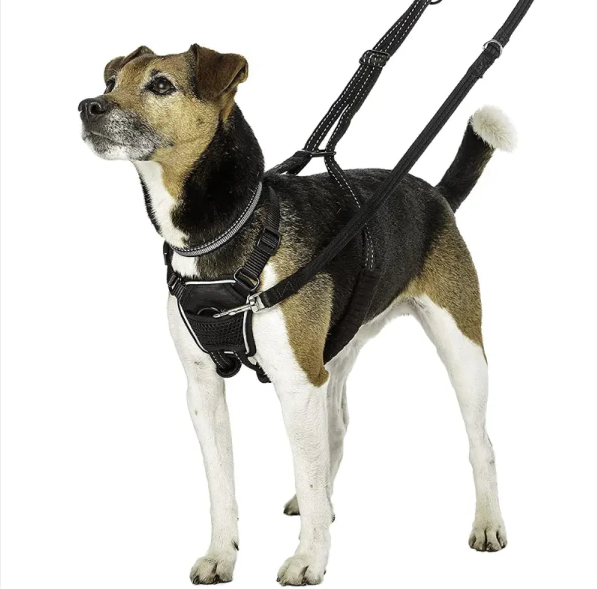 Tails on Trails Reflective No-Pull Dog Harness – Rugged Control & Visibility