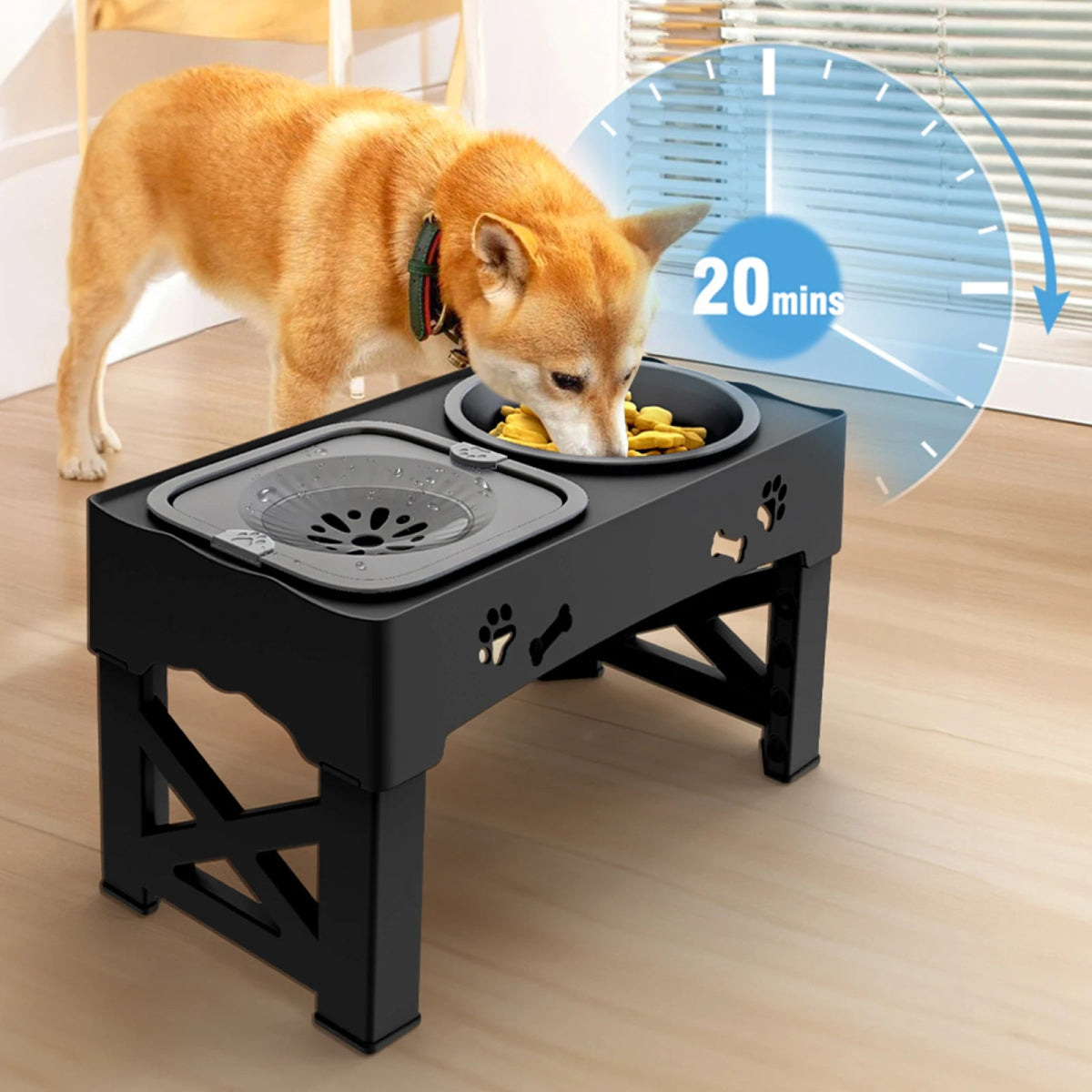 Adjustable 3 - in - 1 Pet Feeder - Tails on Trails