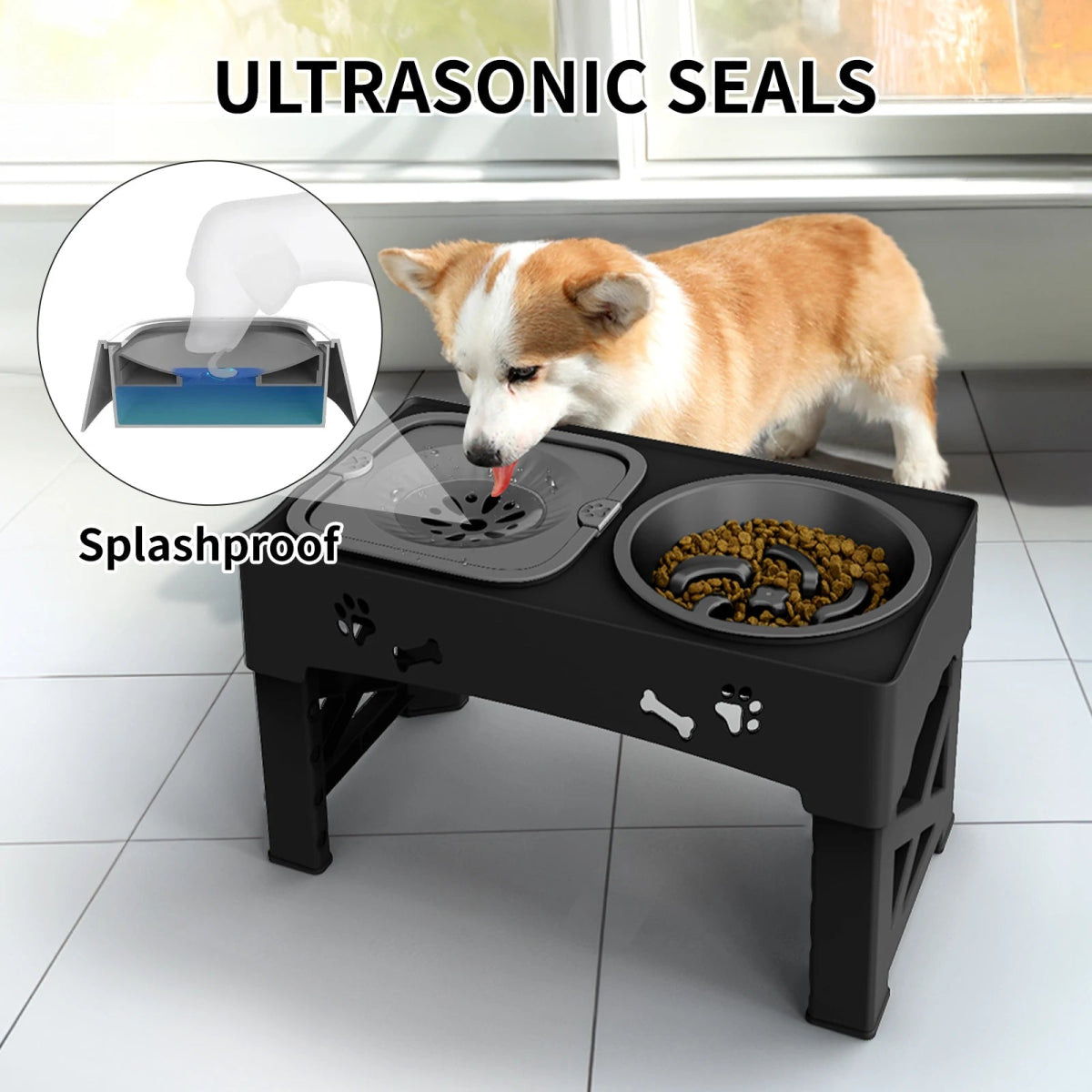 Adjustable 3 - in - 1 Pet Feeder - Tails on Trails