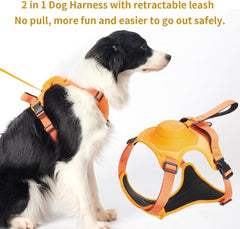 Adjustable No Pull Dog Harness - Tails on Trails