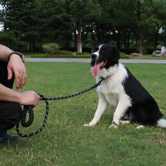 AdventureGuard™ Dog Leash – Reflective, Lightweight & Strong - Tails on Trails