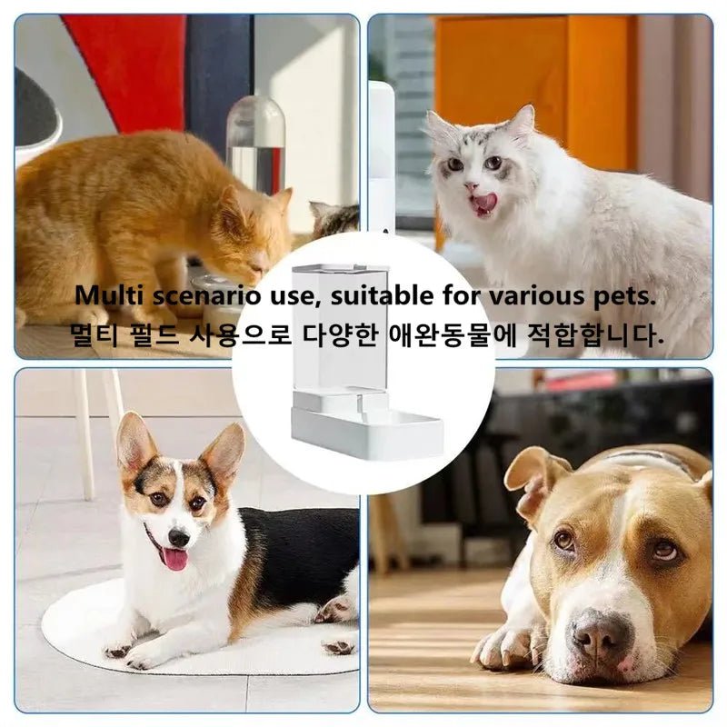 Dog Automatic Feeder Transparent Automatic Gravity Cat Water Bowl High Capacity Food Storage Container Cat And Dog Accessories - Tails on Trails