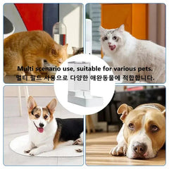 Dog Automatic Feeder Transparent Automatic Gravity Cat Water Bowl High Capacity Food Storage Container Cat And Dog Accessories - Tails on Trails