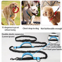 FlexStrap™ Dual - Handle Bungee Leash & Harness Set – Reflective, Shock - Absorbing, and Built for Control - Tails on Trails
