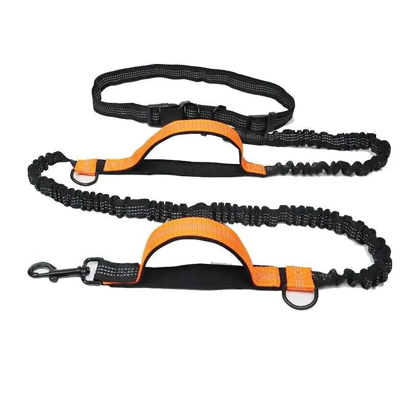 FlexStrap™ Dual - Handle Bungee Leash & Harness Set – Reflective, Shock - Absorbing, and Built for Control - Tails on Trails