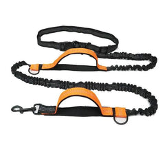 FlexStrap™ Dual - Handle Bungee Leash & Harness Set – Reflective, Shock - Absorbing, and Built for Control - Tails on Trails