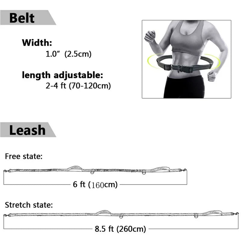 FlexStrap™ Dual - Handle Bungee Leash & Harness Set – Reflective, Shock - Absorbing, and Built for Control - Tails on Trails
