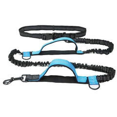 FlexStrap™ Dual - Handle Bungee Leash & Harness Set – Reflective, Shock - Absorbing, and Built for Control - Tails on Trails