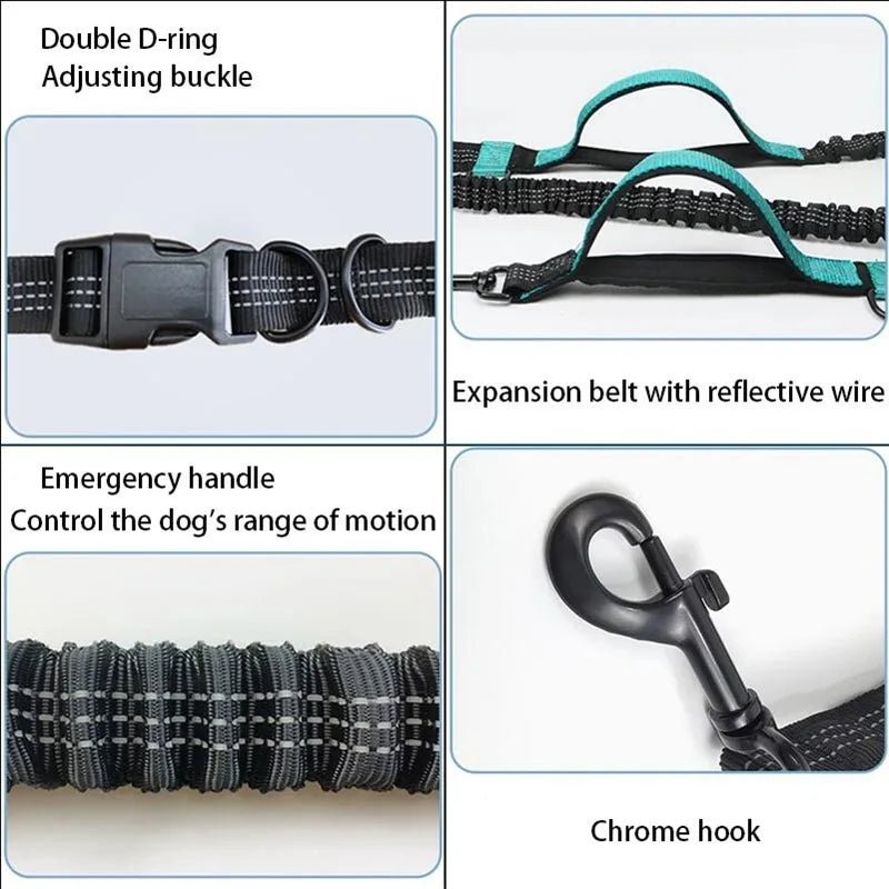 FlexStrap™ Dual - Handle Bungee Leash & Harness Set – Reflective, Shock - Absorbing, and Built for Control - Tails on Trails