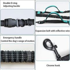 FlexStrap™ Dual - Handle Bungee Leash & Harness Set – Reflective, Shock - Absorbing, and Built for Control - Tails on Trails