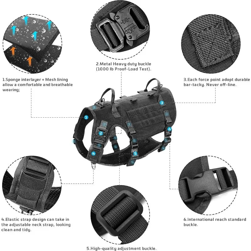 Large Dog Harness Bundle – Tactical Collar & Bungee Leash Set for Control & Comfort - Tails on Trails
