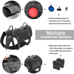 Large Dog Harness Bundle – Tactical Collar & Bungee Leash Set for Control & Comfort - Tails on Trails