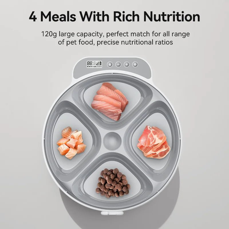 Luxury Smart Automatic Pet Feeder – 4 - Meal Dispenser for Wet & Dry Food with Wireless Timer Control - Tails on Trails