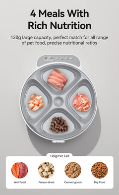 Luxury Smart Automatic Pet Feeder – 4 - Meal Dispenser for Wet & Dry Food with Wireless Timer Control - Tails on Trails