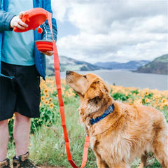 Multi - functional Dog Leash - Tails on Trails