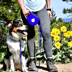 Multi - functional Dog Leash - Tails on Trails