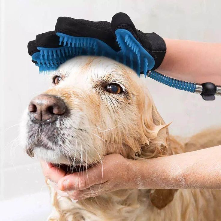 Pet Grooming Glove - Tails on Trails