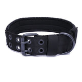 Rugged Tactical Dog Collar - Heavy Duty, Military Grade - Tails on Trails