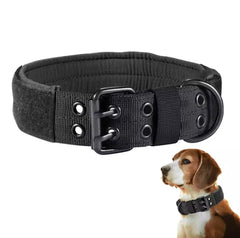 Rugged Tactical Dog Collar - Heavy Duty, Military Grade - Tails on Trails