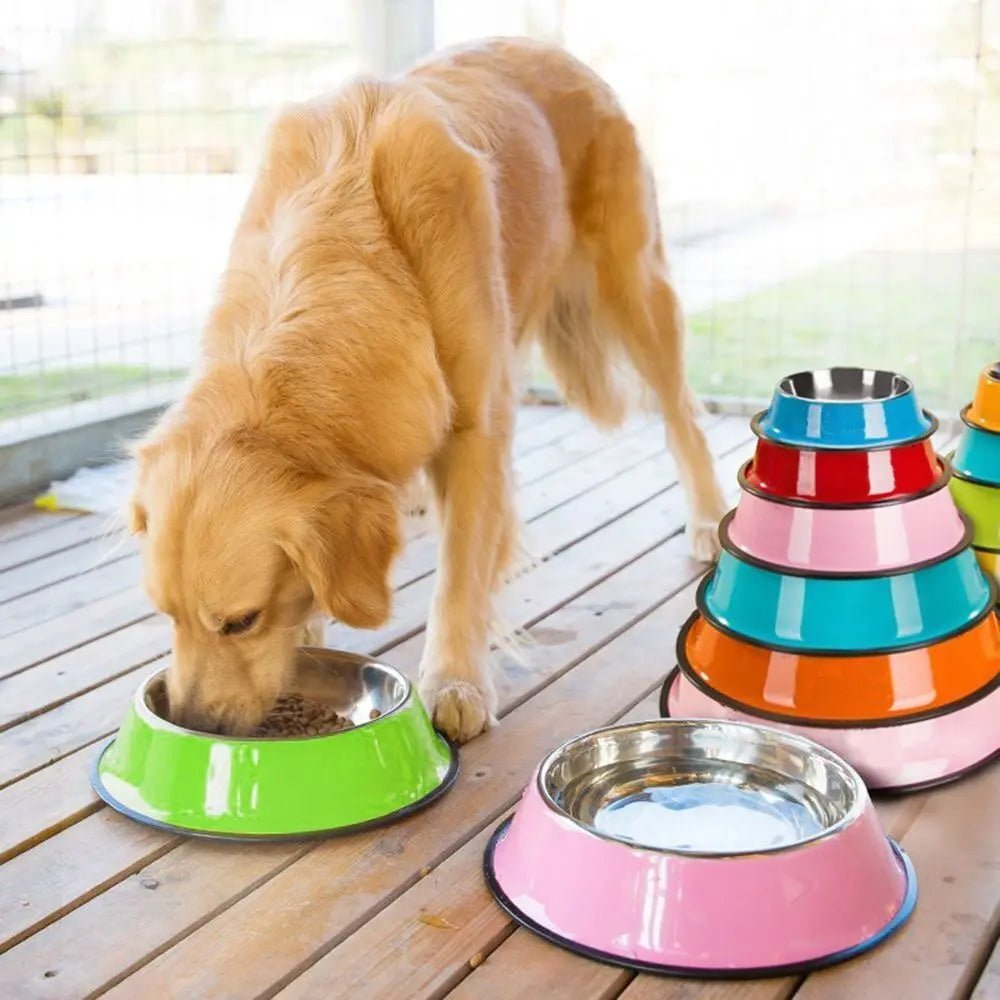 Stainless Dog Bowls Pet Steel Bowl Set Food Water Bowl for Dogs Anti - skid - Tails on Trails