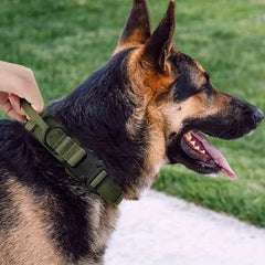 💪 Tails on Trails™ Tactical Training Dog Collar – Secure. Strong. Smart. 🐾 - Tails on Trails