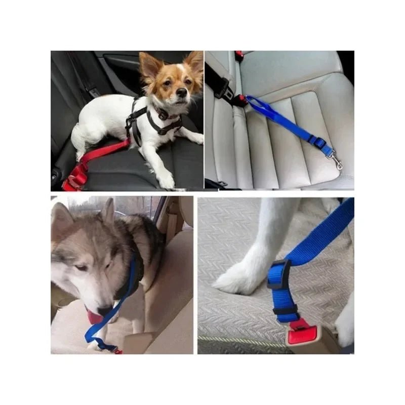 TrailRide™ Adjustable Dog Car Safety Tether – Secure Travel Belt for Adventurous Pets - Tails on Trails